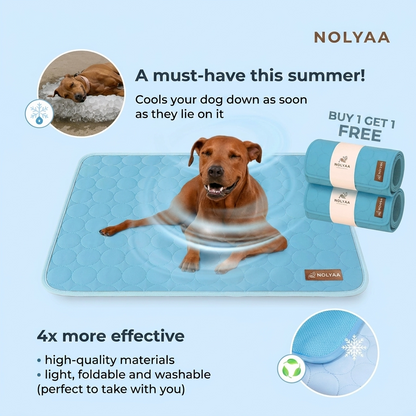 Self-Cooling Dog Mat